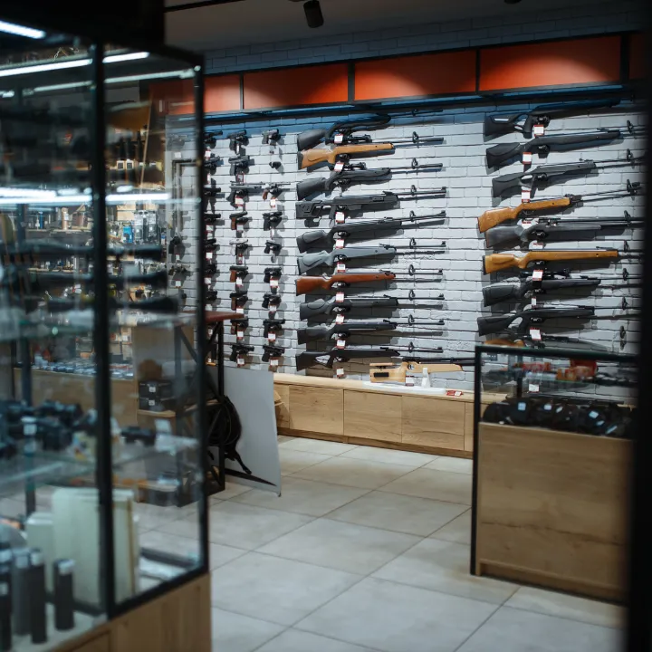 Gun LTC 720p