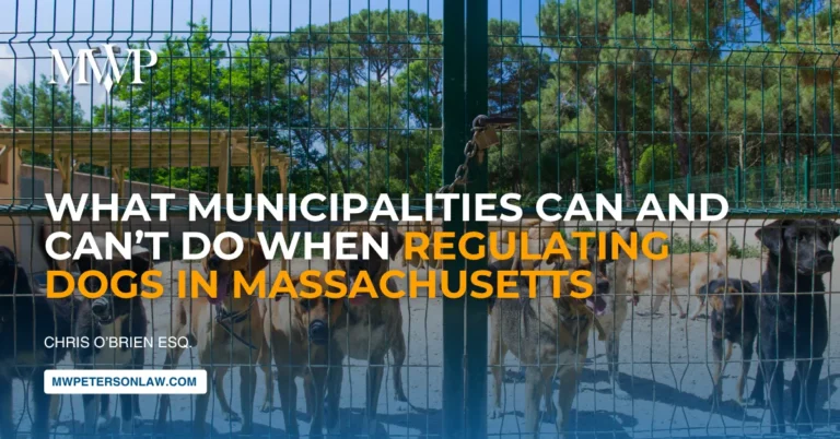 What Municipalities Can and Can’t Do When Regulating Dogs in Massachusetts